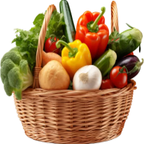 Vans Essential Electronics 18